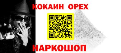 молекула духа Будённовск