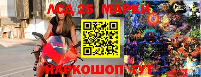 молекула духа Будённовск