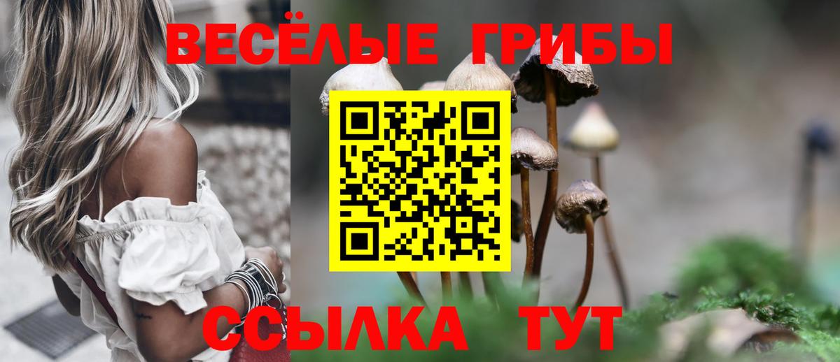 Псилоцибиновые грибы мухоморы  Галлюциногенные грибы прущие грибы  Одинцово  Вход с VPN 